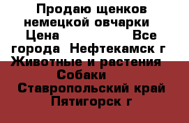 Продаю щенков немецкой овчарки › Цена ­ 5000-6000 - Все города, Нефтекамск г. Животные и растения » Собаки   . Ставропольский край,Пятигорск г.